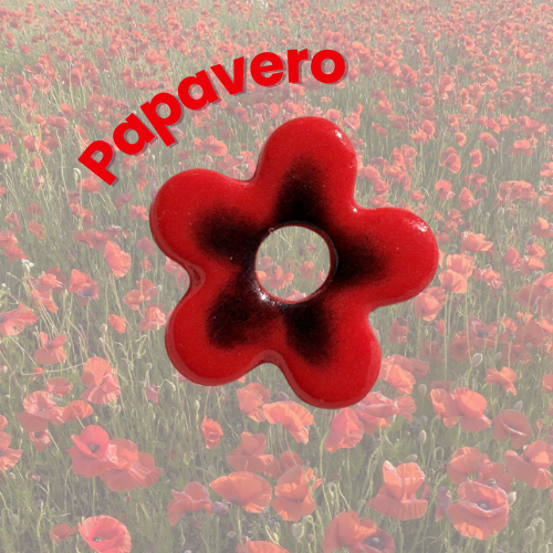 Papavero