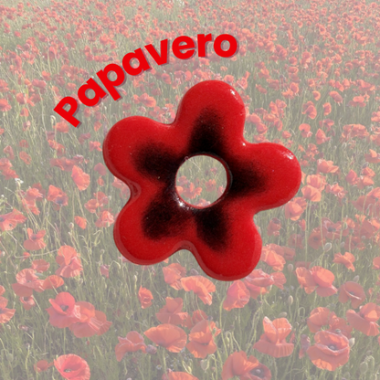 Papavero