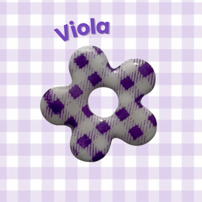 Viola
